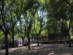 -方庄体育公园