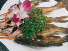 -蜀九香火锅(彩虹店)