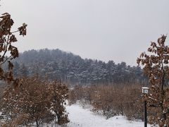 -沈阳辉山风景区
