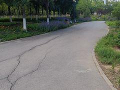 -永定河休闲森林公园