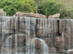 -神光山国家森林公园