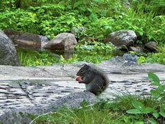 -玉渡山自然风景区