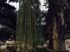 -龙达温泉生态城