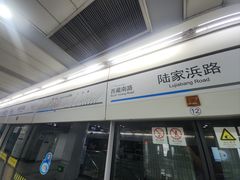 -陆家浜路(地铁站)