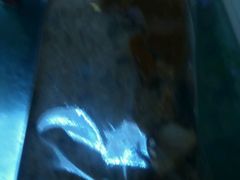 -麦斯汀烘焙坊(建昌兴隆店)