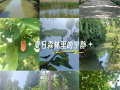 -同里国家湿地公园