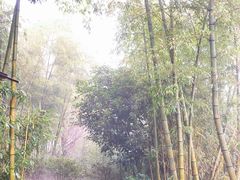 -江南天池高山汤泉城