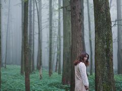 -武陵山森林公园