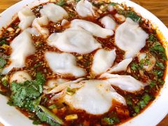 小茴香牛肉饺子-尤素福东举院饺子馆