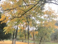 -梁鸿国家湿地公园