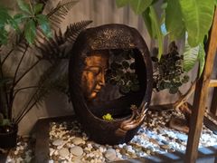 -泰·菩提树下[泰式按摩x精油SPAx肩颈头疗](新景店)