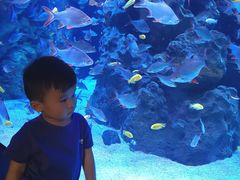 -成都浩海立方海洋公园