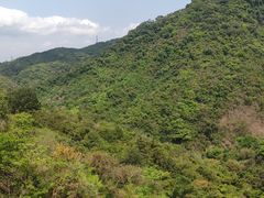 -梧桐山风景名胜区