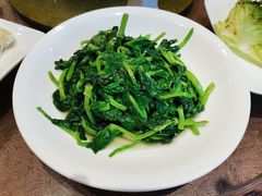 白酒有机豆苗-瑞福园联谊餐室(茂名南路店)