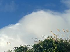 -东极岛景区