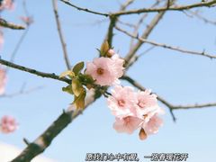 -霸王茶姬(建邺万达广场店)
