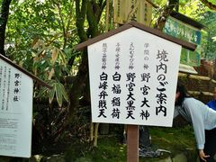 -野宫神社
