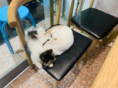 -白翔甜食店