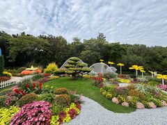 -上海共青森林公园