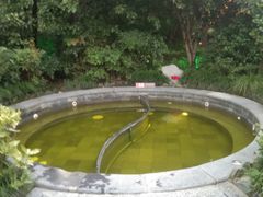 -杭州第一世界大酒店·云曼温泉