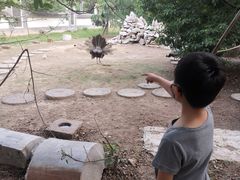 -观唐（国际）度假村温泉