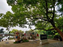 -无锡蠡湖国家湿地公园-蠡园