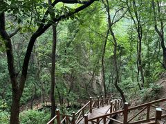 -大岭沟猕猴桃谷风景区