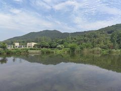 -石塘人家