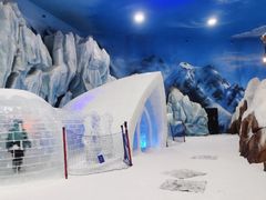 -长沙湘江冰雪世界