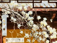 -龙华寺