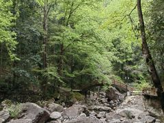 -花岩国家森林公园