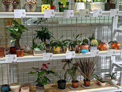 -SM城市广场(扬州店)