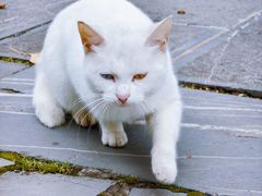 -敬亭山风景名胜区