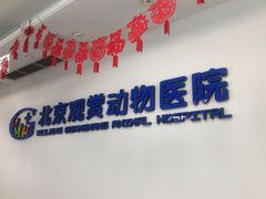-北京观赏动物医院·24小时大型综合·猫专科·异宠专科