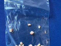 -瑞派·关忠动物医院·异宠专科·犬猫肿瘤·皮肤专科(望京店)