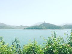 -望湖烤鱼