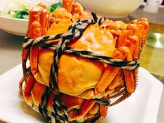 阳澄湖大闸蟹-乡乐园蟹庄·阳澄湖农家乐