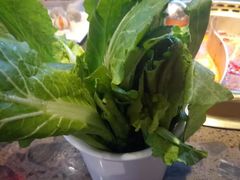 小白菜-小龙坎老火锅(北京三里屯店)