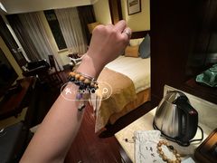 -普陀山雷迪森庄园