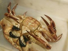 -李老爹香辣蟹(宣武门店)