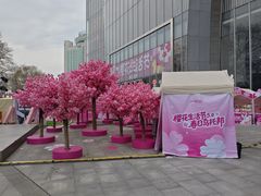 -金茂览秀城