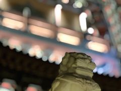 -葛仙湖公园