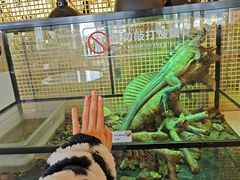 -FAIRYLAND龙族星球主题餐厅(凯丹广场店)