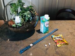 -北京三里屯CHAO酒店