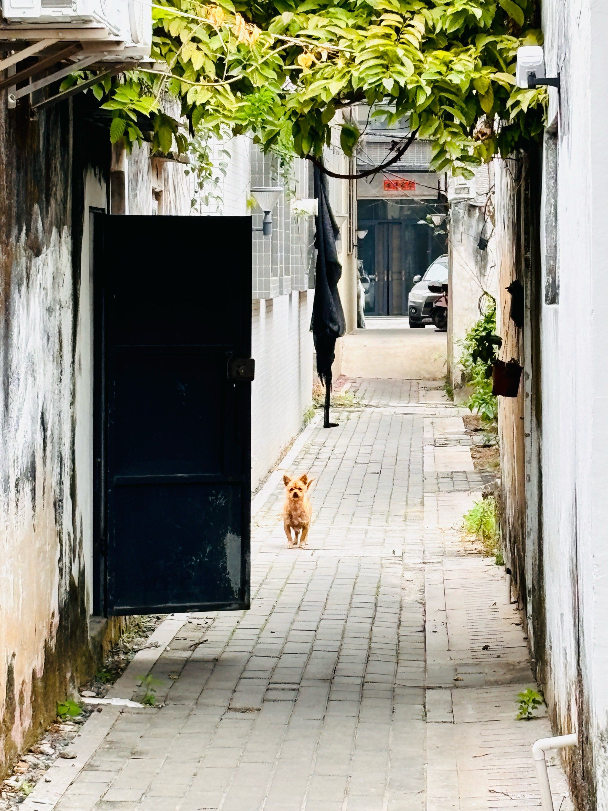 探索未知的小巷子