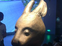 -广西壮族自治区博物馆