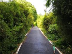 -新江湾城公园