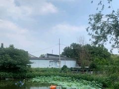 -元鼎宝驴香·全驴宴(江宁店)