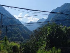 -沣峪口