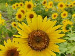 -汉长安城未央宫国家考古遗址公园